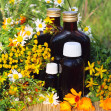 Medical herbs with aromatherapy essential oil and tincture in glass bottle.