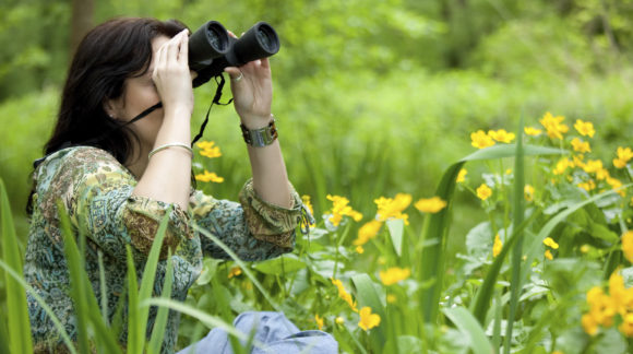 woman in beautiful park watching wildlife with binoculars