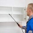 Worker Spraying Insecticide On Shelf