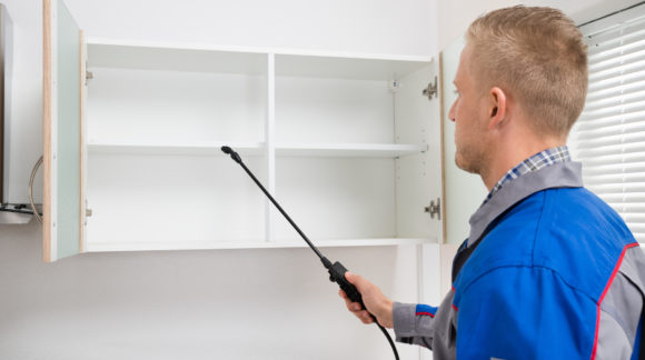 Worker Spraying Insecticide On Shelf